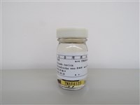 藏品(家燕)的圖片